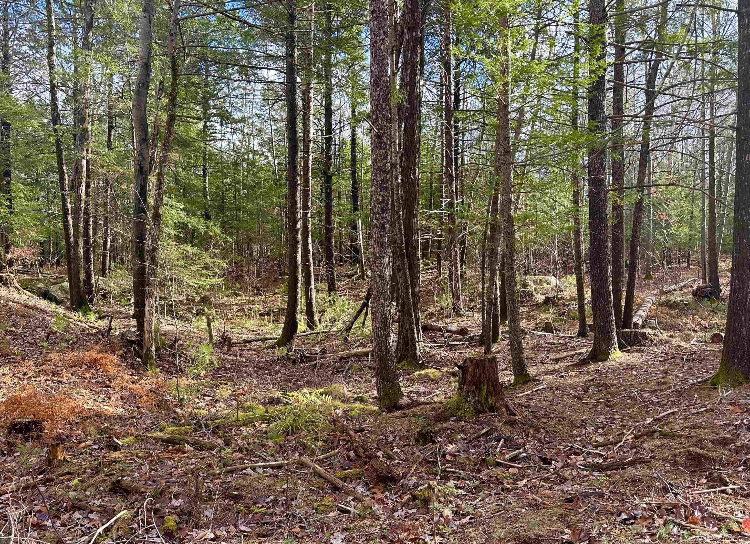 Lot 2 Remington Road, Unit 2 Mont Vernon, NH 03057 - Photo 4 of 7