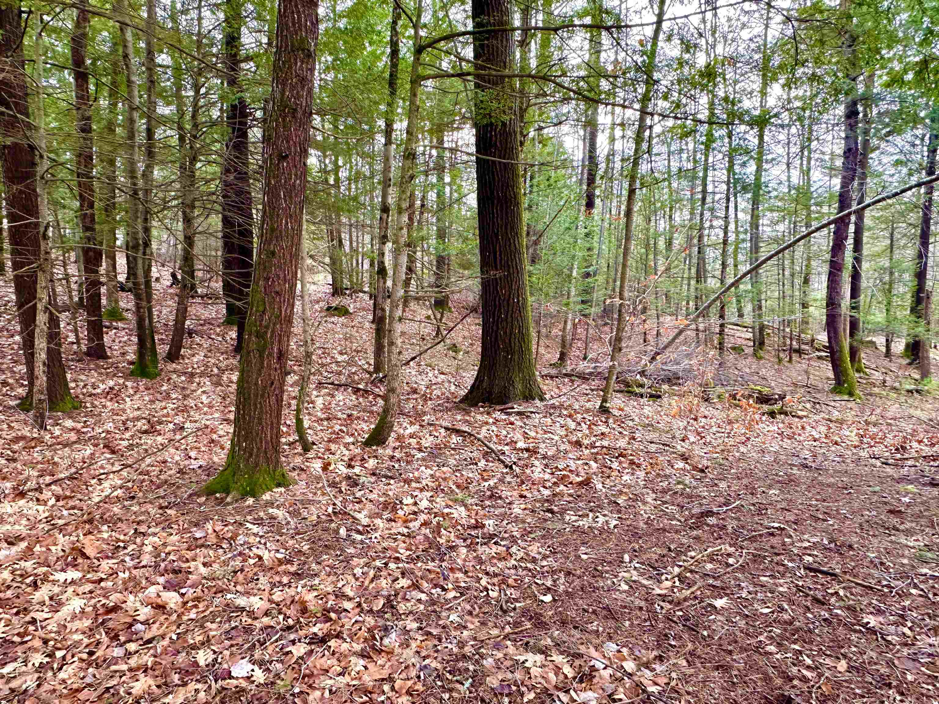 Lot 2 Remington Road, Unit 2 Mont Vernon, NH 03057 - Photo 5 of 7