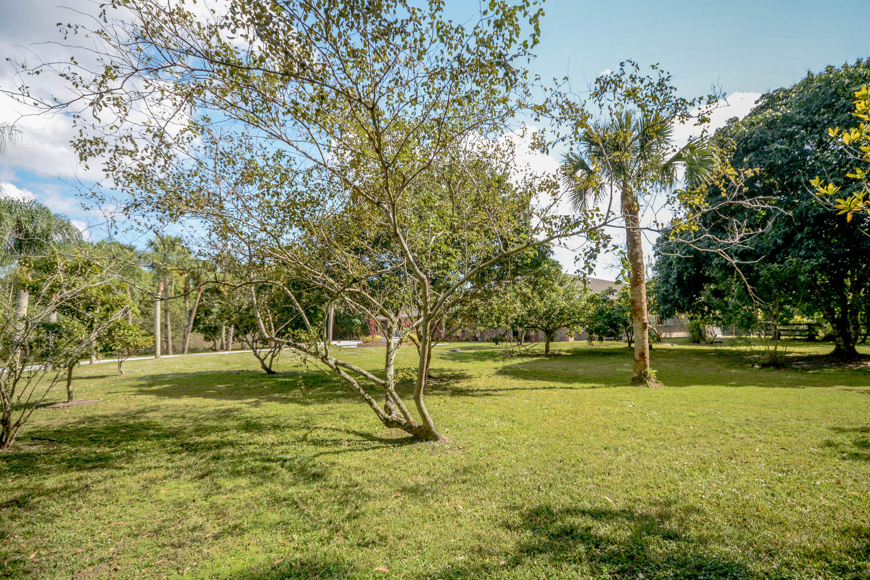 10534 173rd Road North Jupiter, FL 33478 - Photo 47 of 50 Front Yard Side