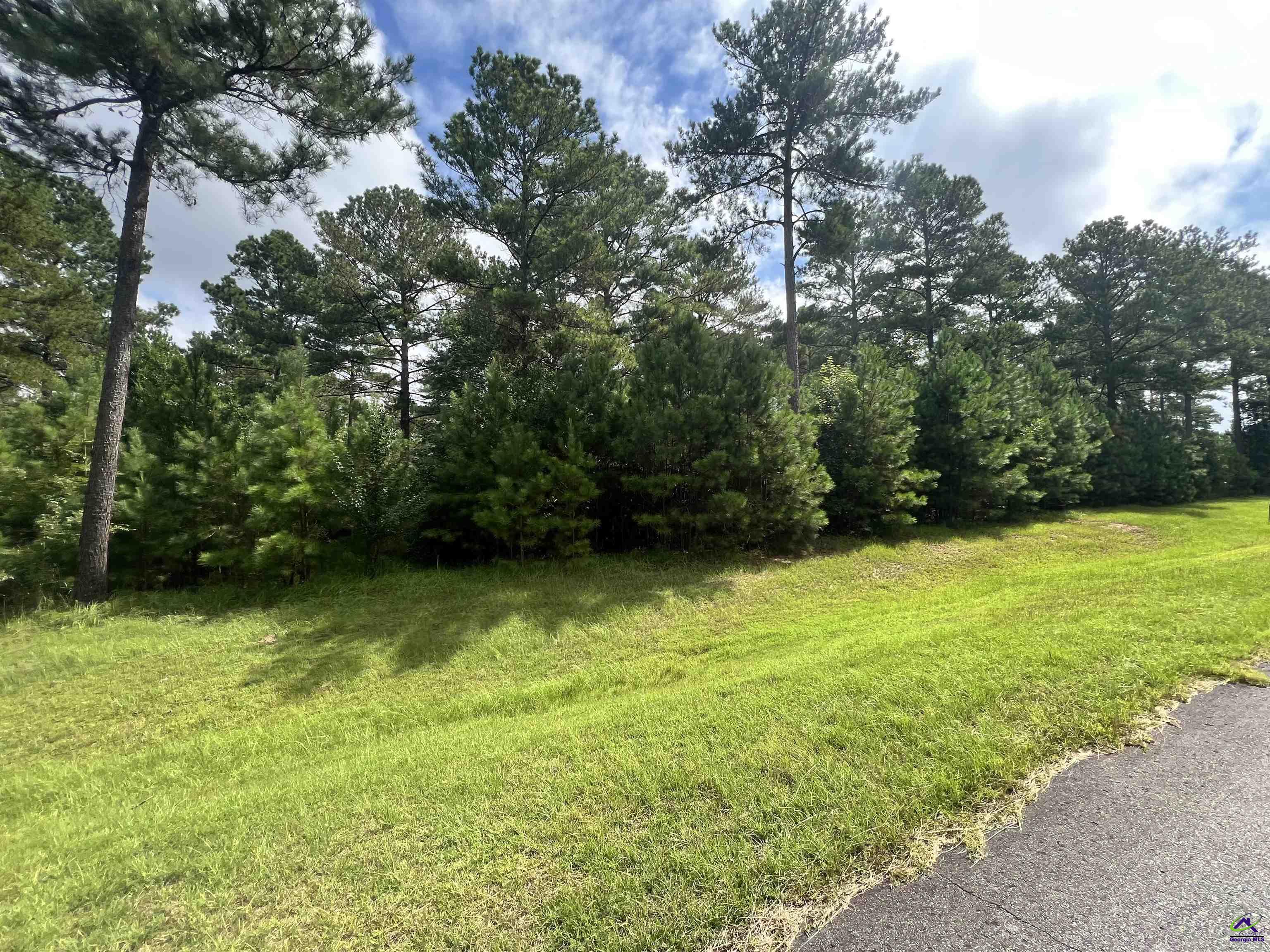 5.41-acres) Redridge Lane Perry, GA 31069 - Photo 6 of 9