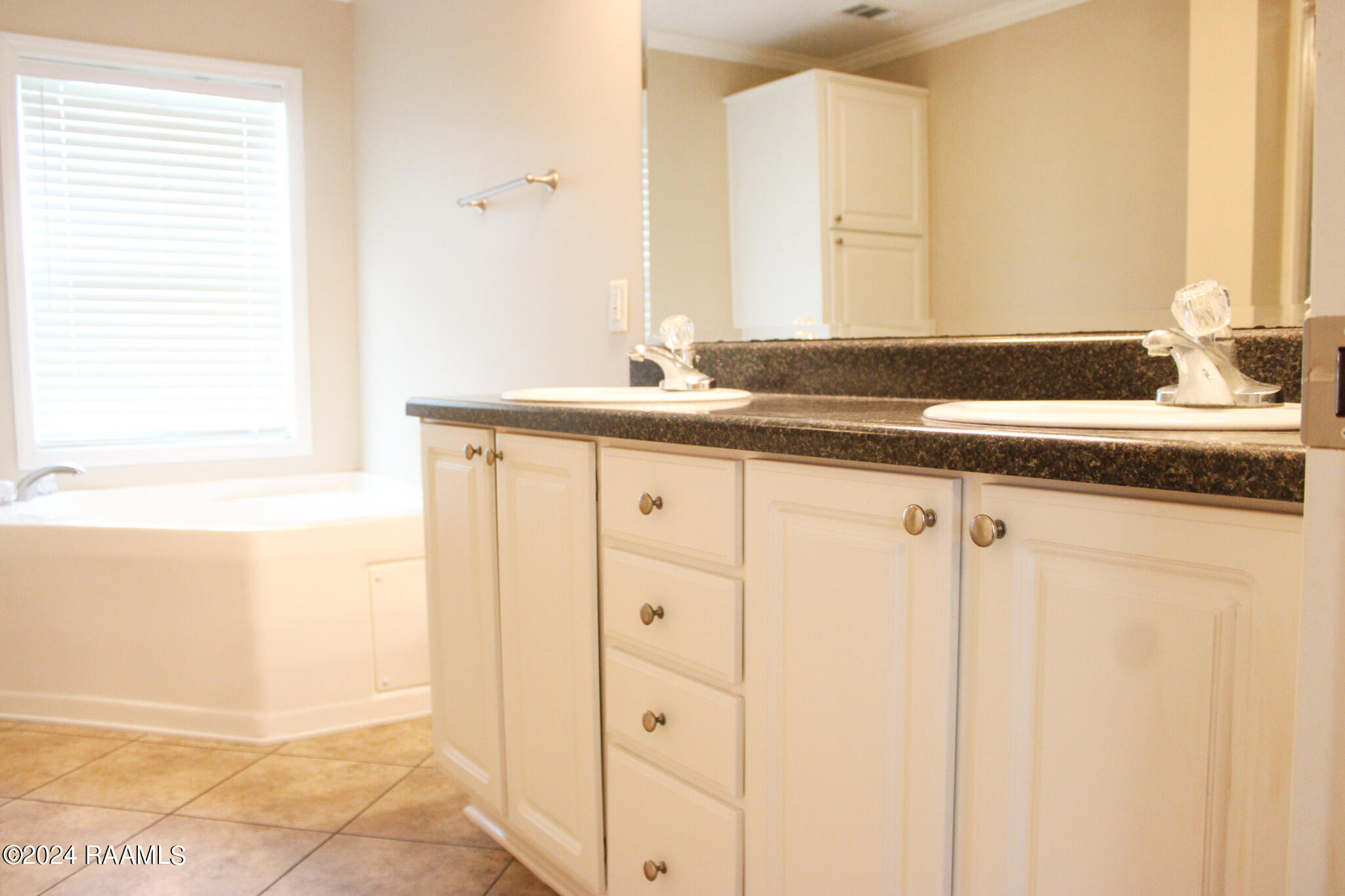 113 Squirrel Youngsville, LA 70592 - Photo 13 of 19 Master Bath 1