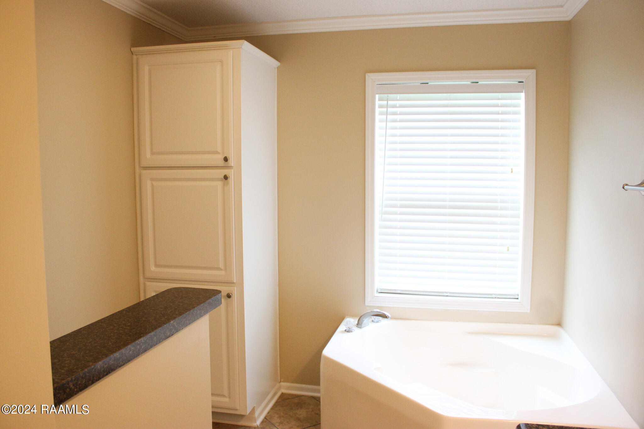 113 Squirrel Youngsville, LA 70592 - Photo 16 of 19 Master Bath 4