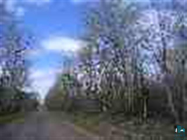 Lot 4 Bark Bay Road Herbster, WI 54844 - Photo 2 of 2 Gallery Image 2