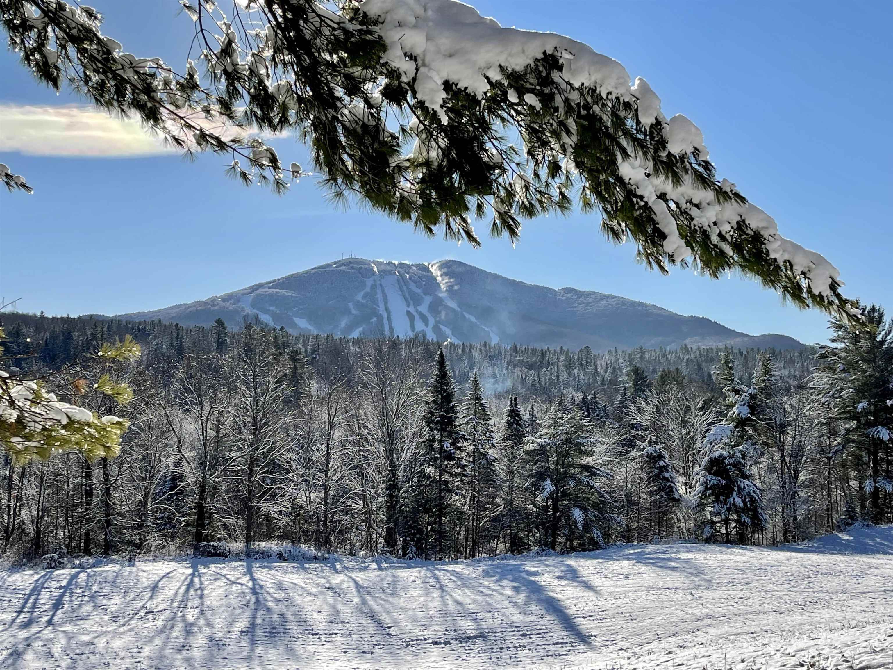 230 White School Road Burke, VT 05832 - Photo 40 of 43