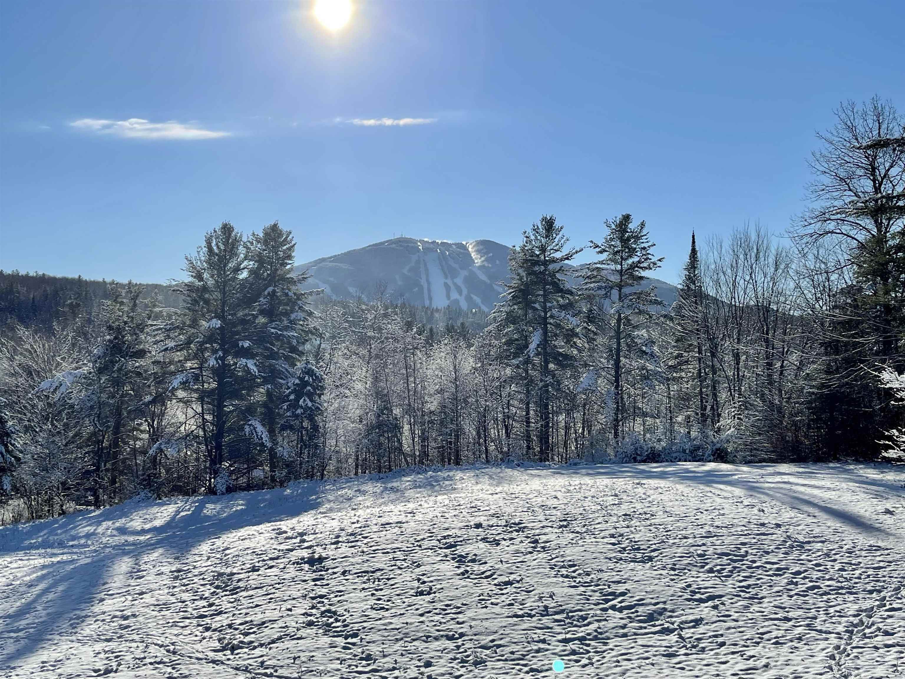 230 White School Road Burke, VT 05832 - Photo 41 of 43