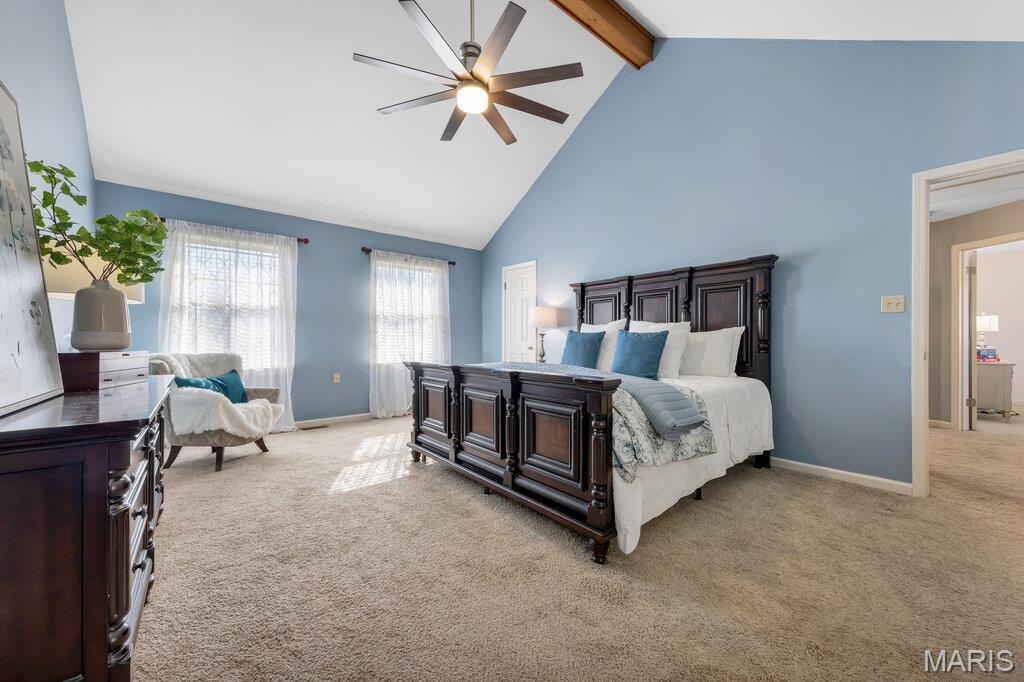 21 Cambrian Way St. Charles, MO 63301 - Photo 19 of 48