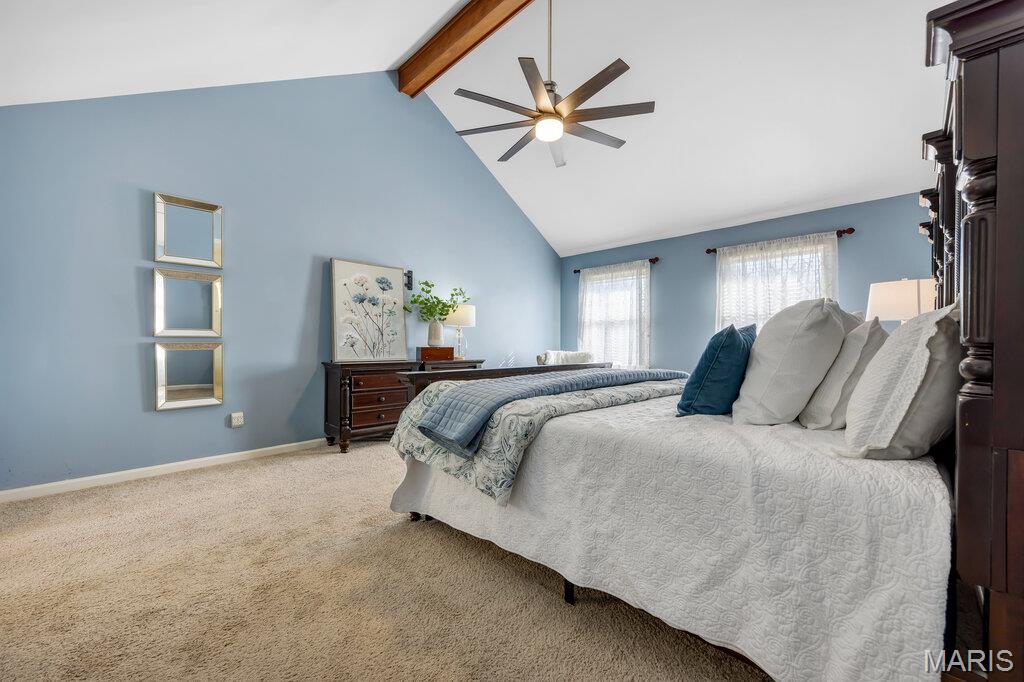 21 Cambrian Way St. Charles, MO 63301 - Photo 20 of 48