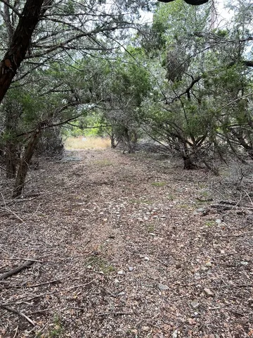 a view of a yard with a tree