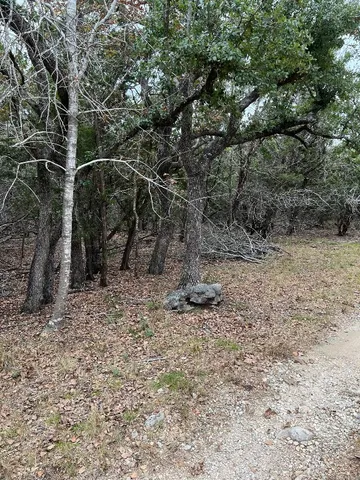 a view of a yard with a tree