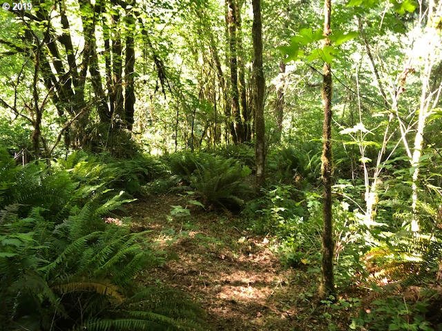 12421 Highway 126 Mapleton, OR 97453 - Photo 26 of 27 Gallery Image 26