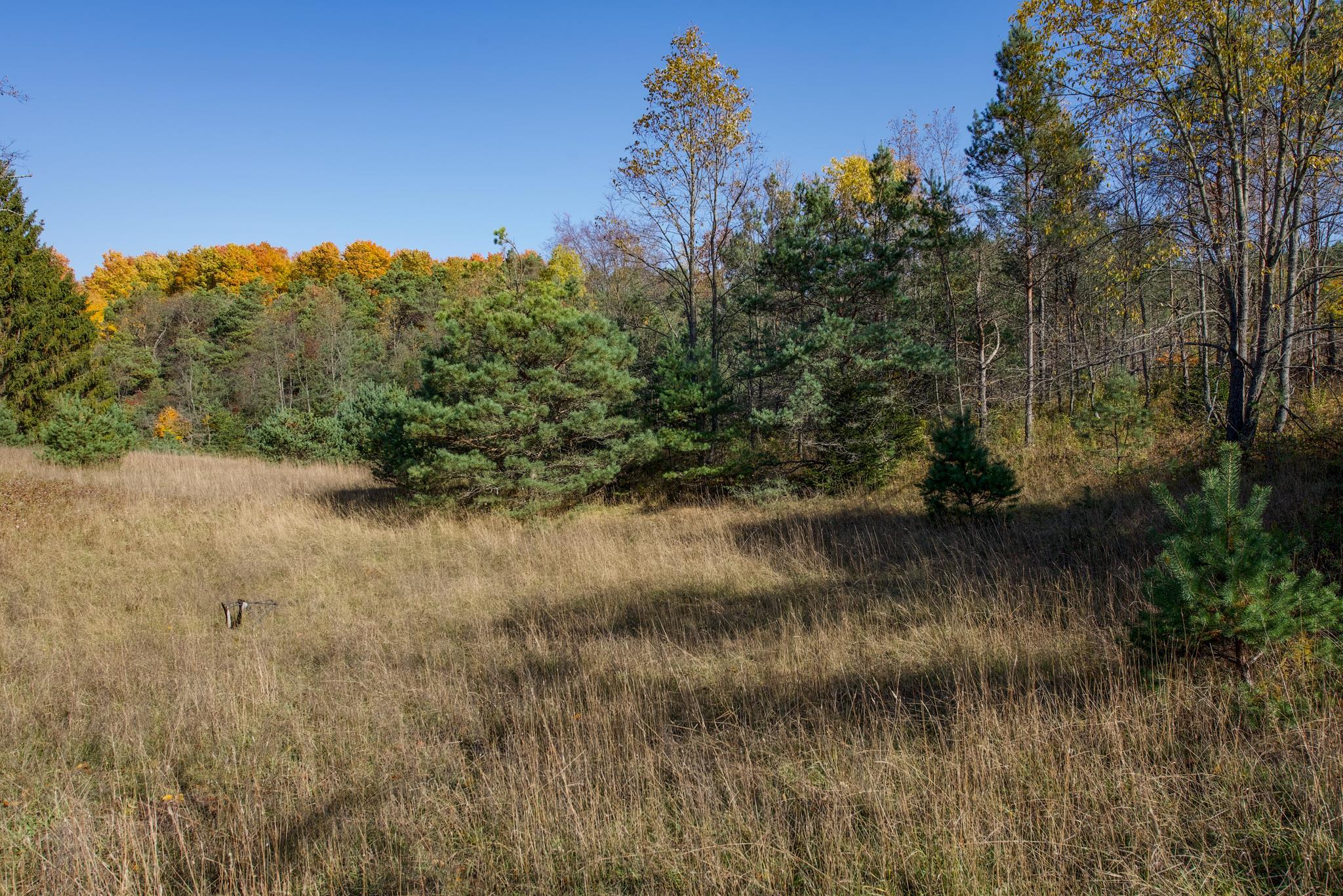 0 Harlan Road Traverse City, MI 49686 - Photo 12 of 21 Gallery Image 12