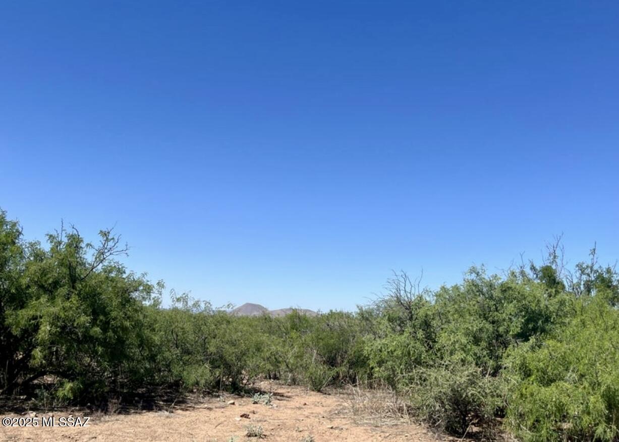 0 Price Ranch Road Pearce, AZ 85625 - Photo 3 of 5