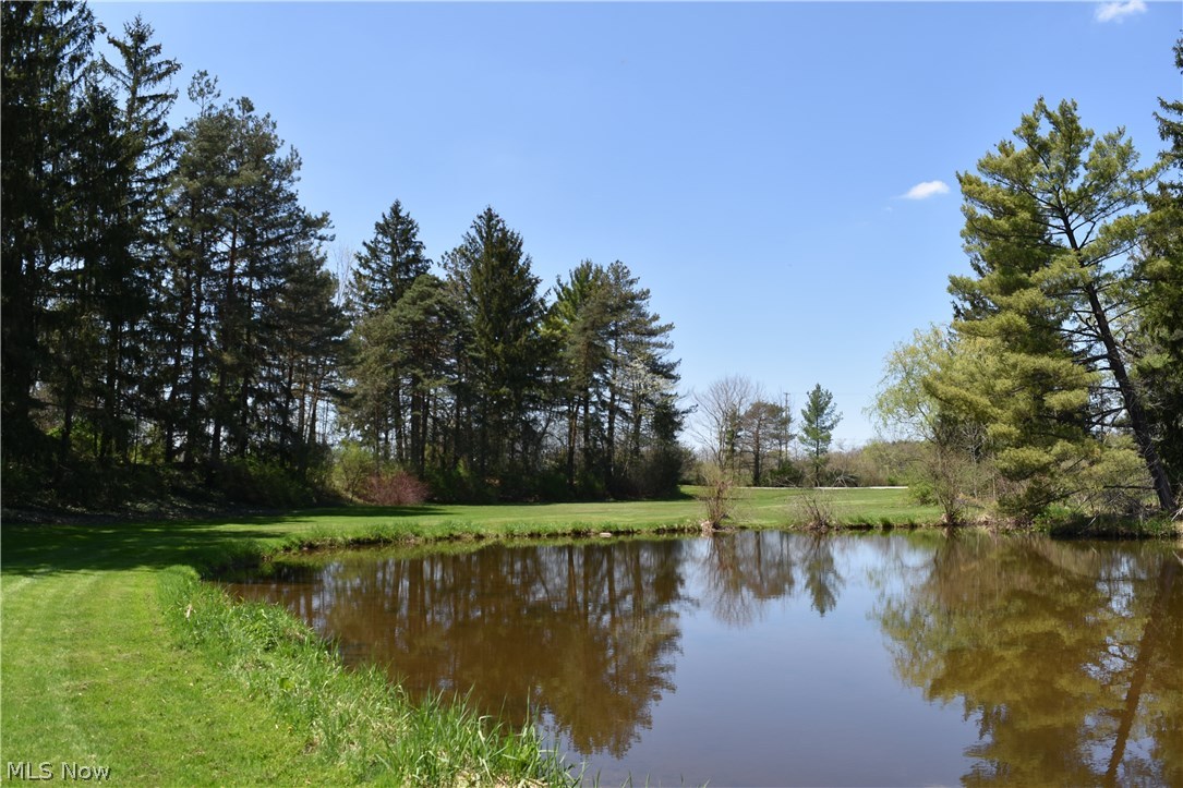 13669 Butternut Road Burton, OH 44021 - Photo 19 of 28