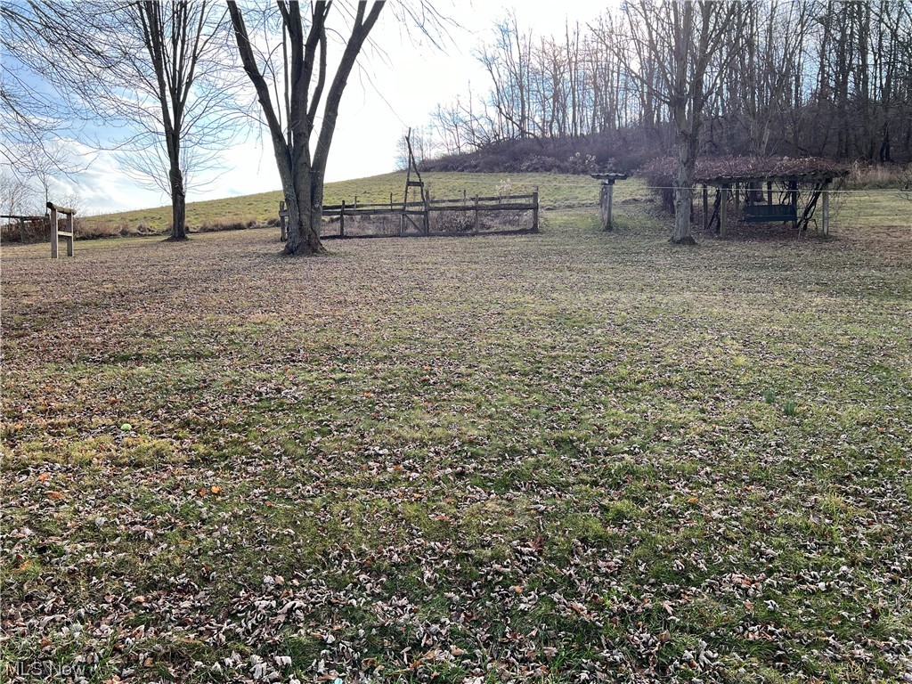 50519 Carroll Road East Liverpool, OH 43920 - Photo 41 of 45 View of yard