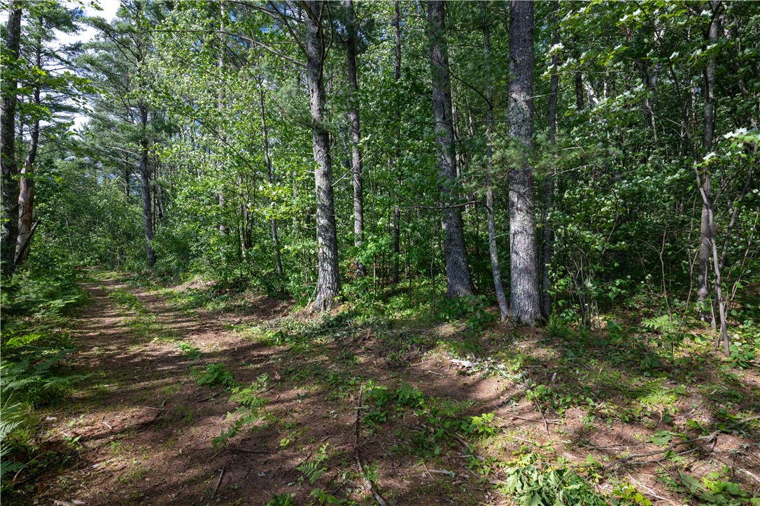12915 West Preserve Road Hayward, WI 54843 - Photo 18 of 23