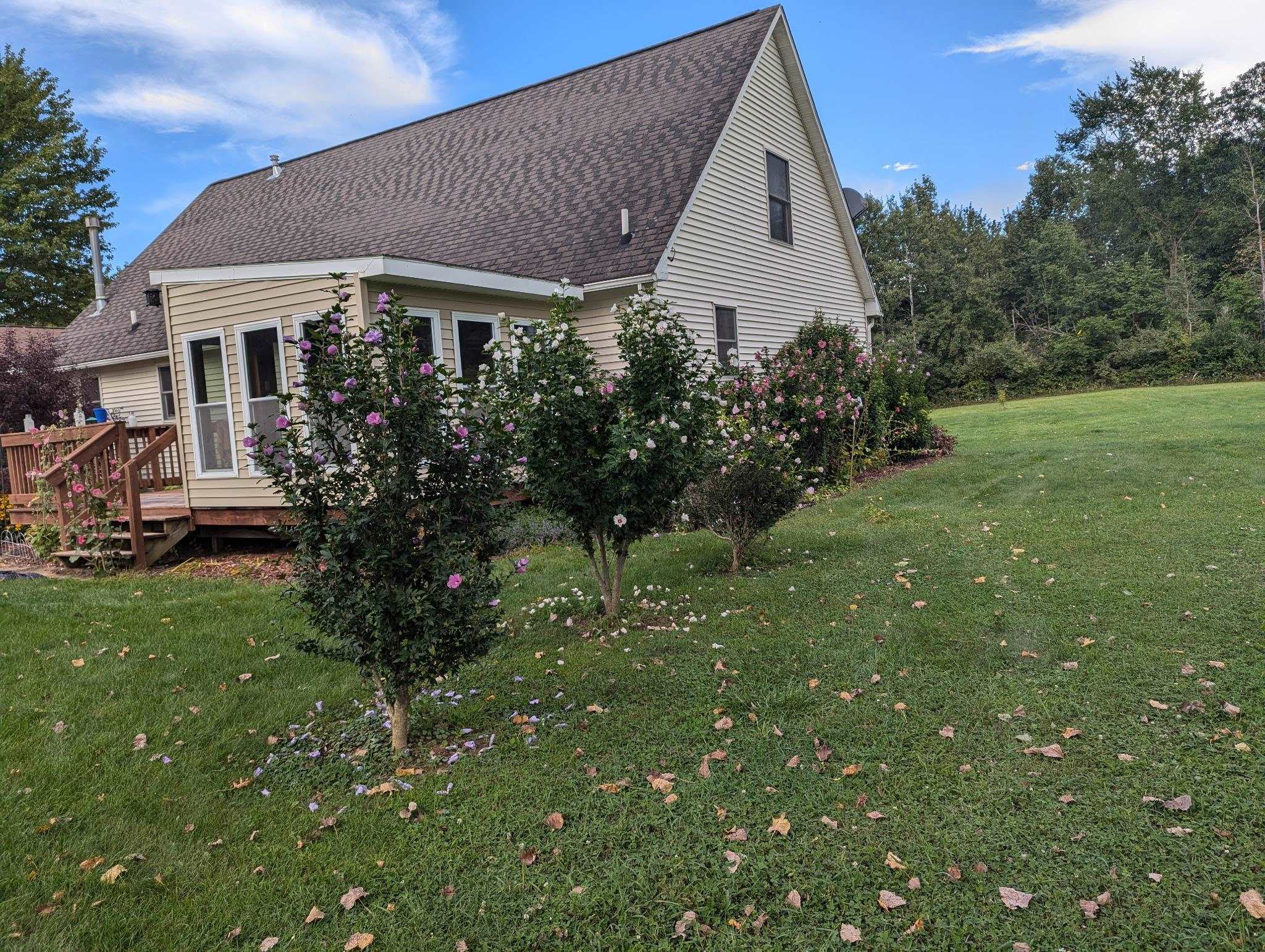 5495 Burton Road Capac, MI 48014 - Photo 41 of 43 50166119-933f8ef5-fb85-4ba9-b4fc-d49fdea3c975.JPG