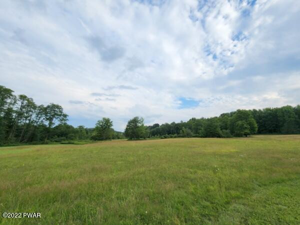 337 Layton Road Equinunk, PA 18417 - Photo 26 of 31 Manicured Land
