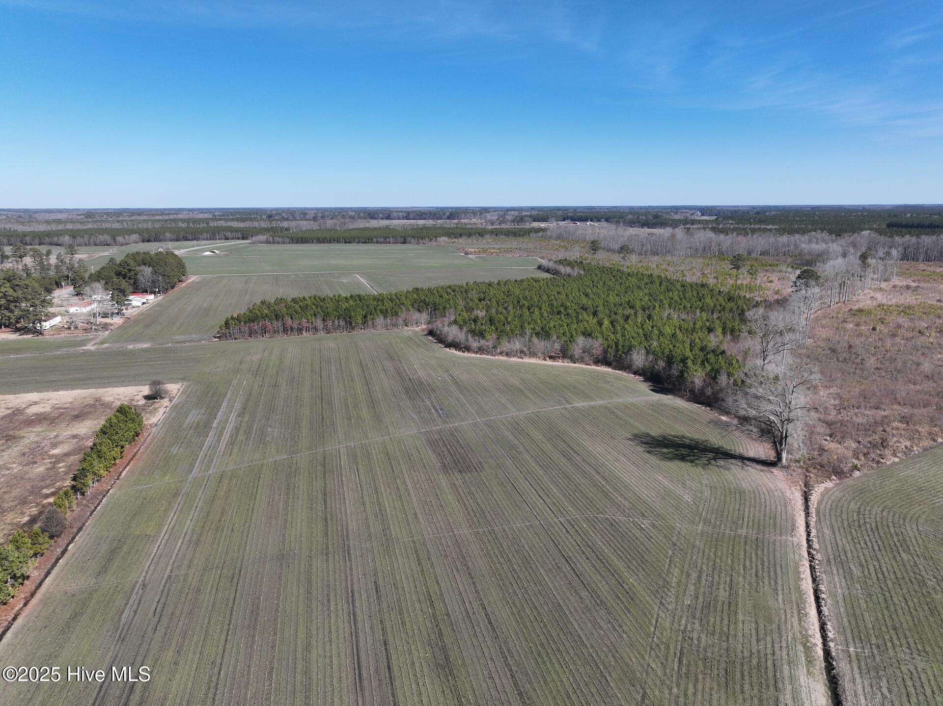 230 Middle Swamp Road Corapeake, NC 27926 - Photo 1 of 28 1