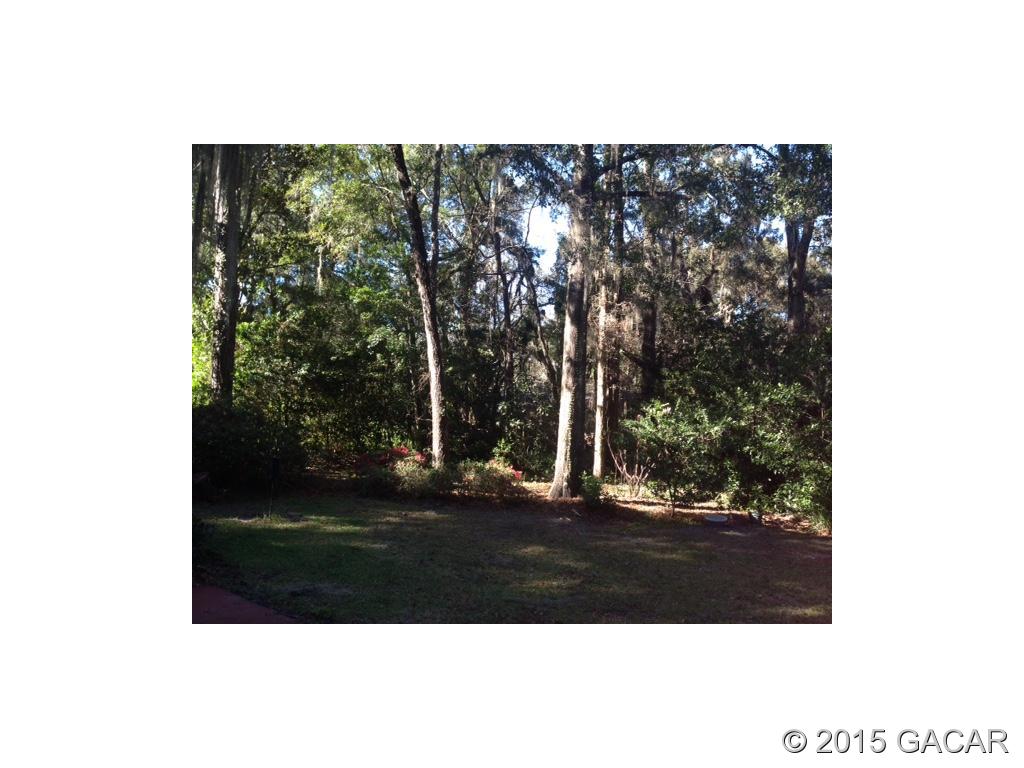 3818 Southwest 3 Avenue Gainesville, FL 32607 - Photo 11 of 16 Another view of back yard