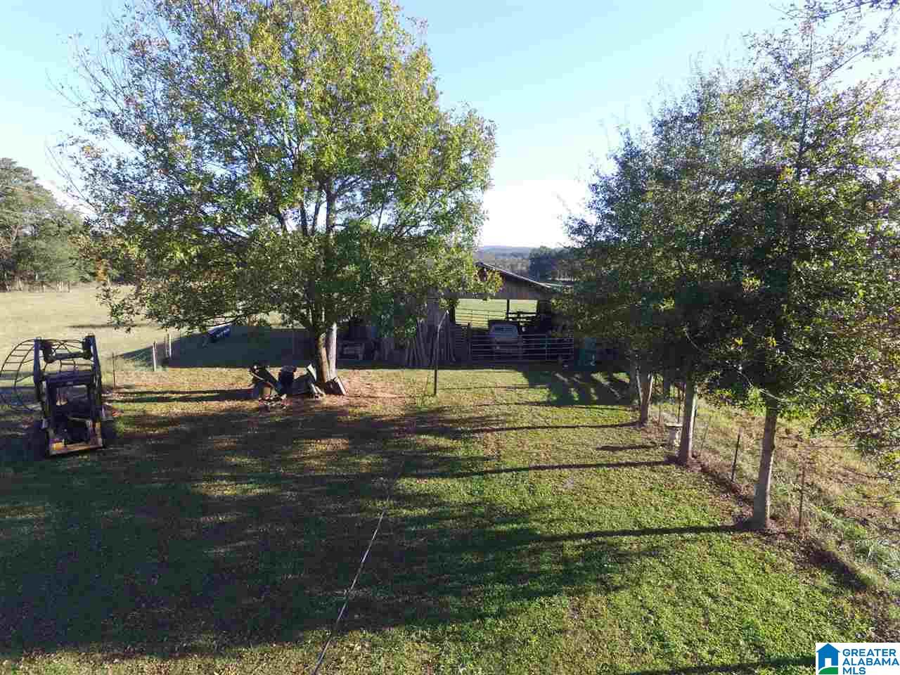 567 Dial Road Blountsville, AL 35031 - Photo 28 of 46