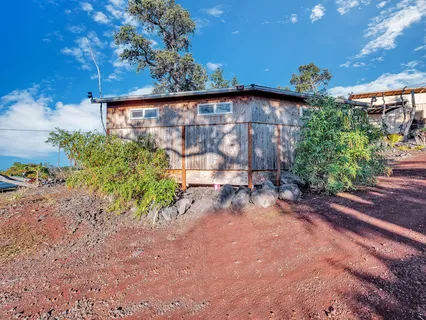 a view of a yard with plants