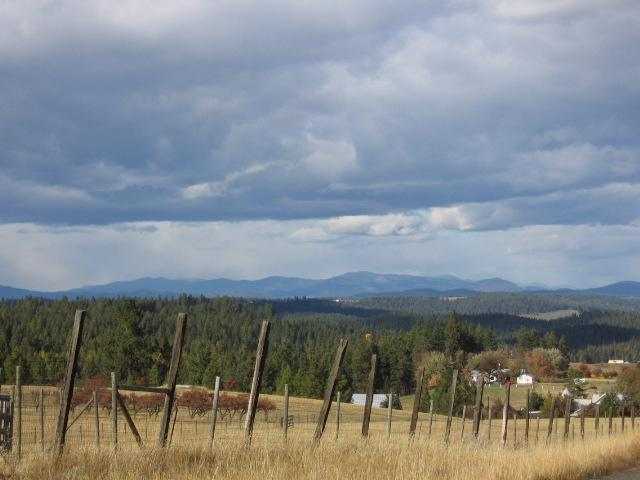 0 Pit Lane Mead, WA 99021 - Photo 3 of 8