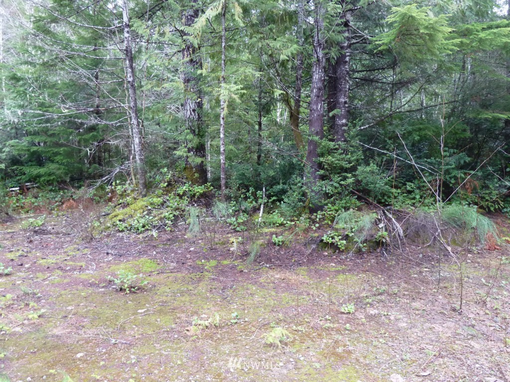 500 East Sunset Ridge Road Union, WA 98592 - Photo 11 of 15 Gallery Image 11