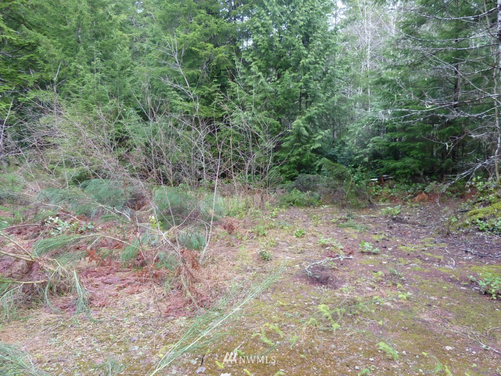 500 East Sunset Ridge Road Union, WA 98592 - Photo 12 of 15 Gallery Image 12