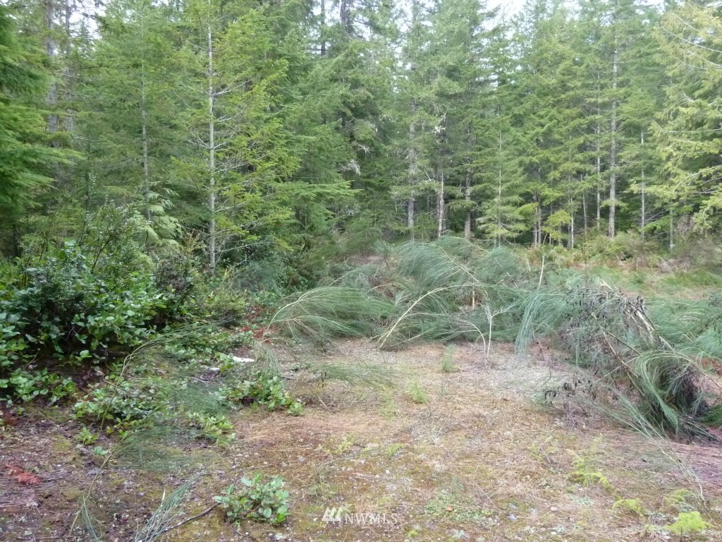 500 East Sunset Ridge Road Union, WA 98592 - Photo 13 of 15 Gallery Image 13