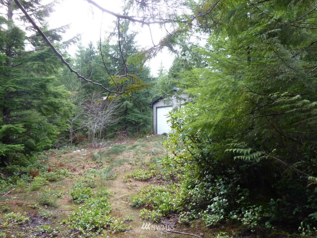 500 East Sunset Ridge Road Union, WA 98592 - Photo 14 of 15 Gallery Image 14