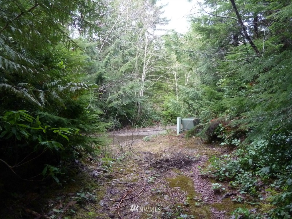 500 East Sunset Ridge Road Union, WA 98592 - Photo 15 of 15 Gallery Image 15