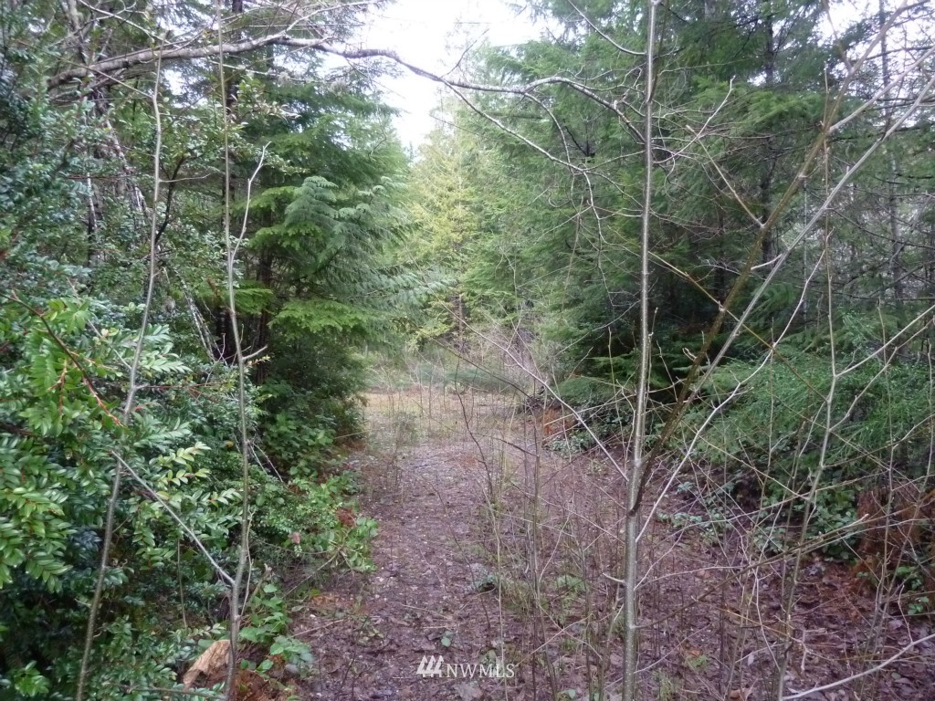 500 East Sunset Ridge Road Union, WA 98592 - Photo 8 of 15 Gallery Image 8