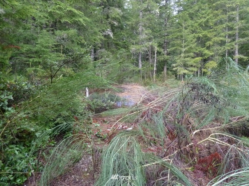 500 East Sunset Ridge Road Union, WA 98592 - Photo 9 of 15 Gallery Image 9