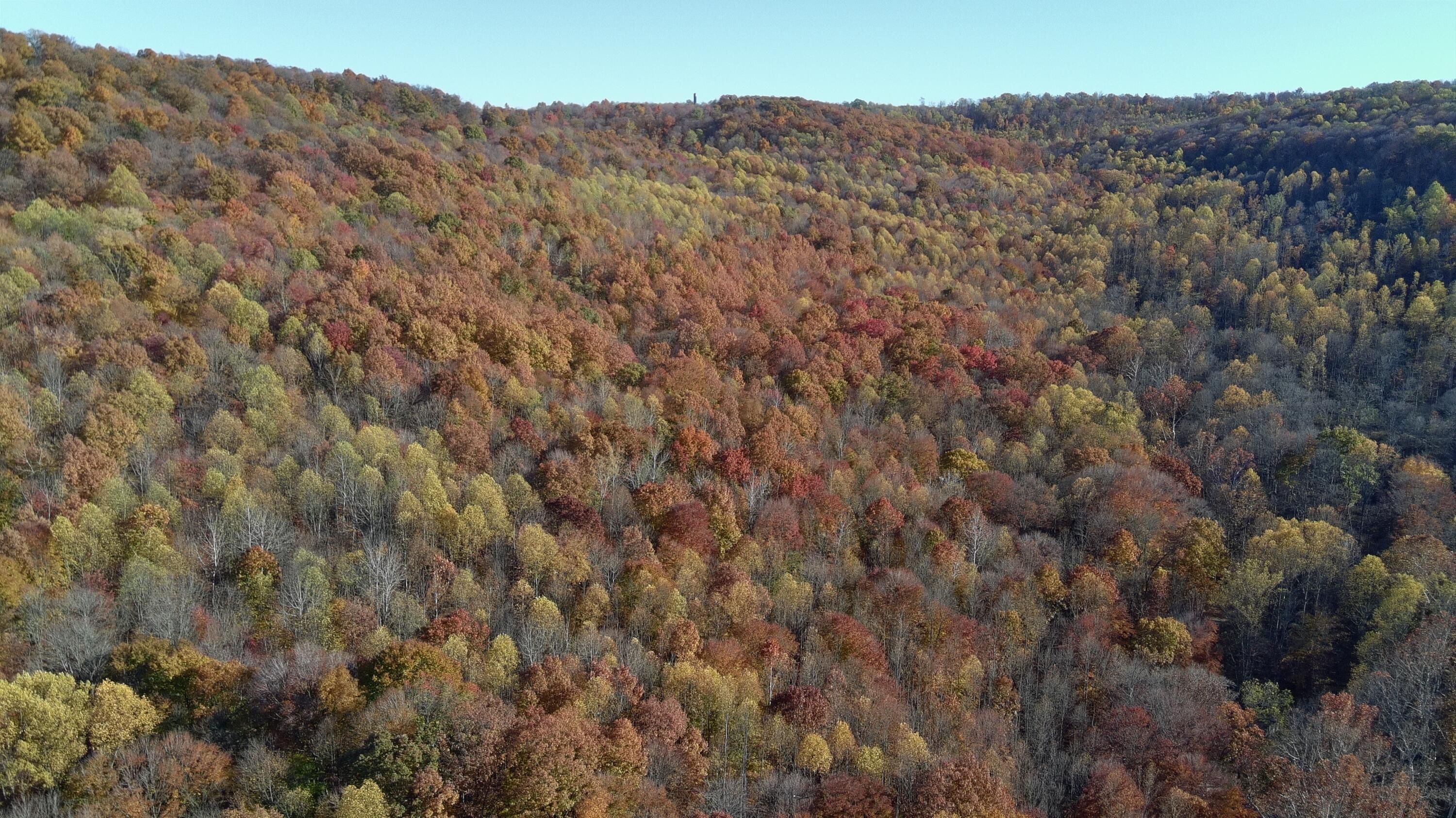 329 Kinzer Road Bainbridge, OH 45612 - Photo 80 of 86 5700277_100DRONE_SING0392