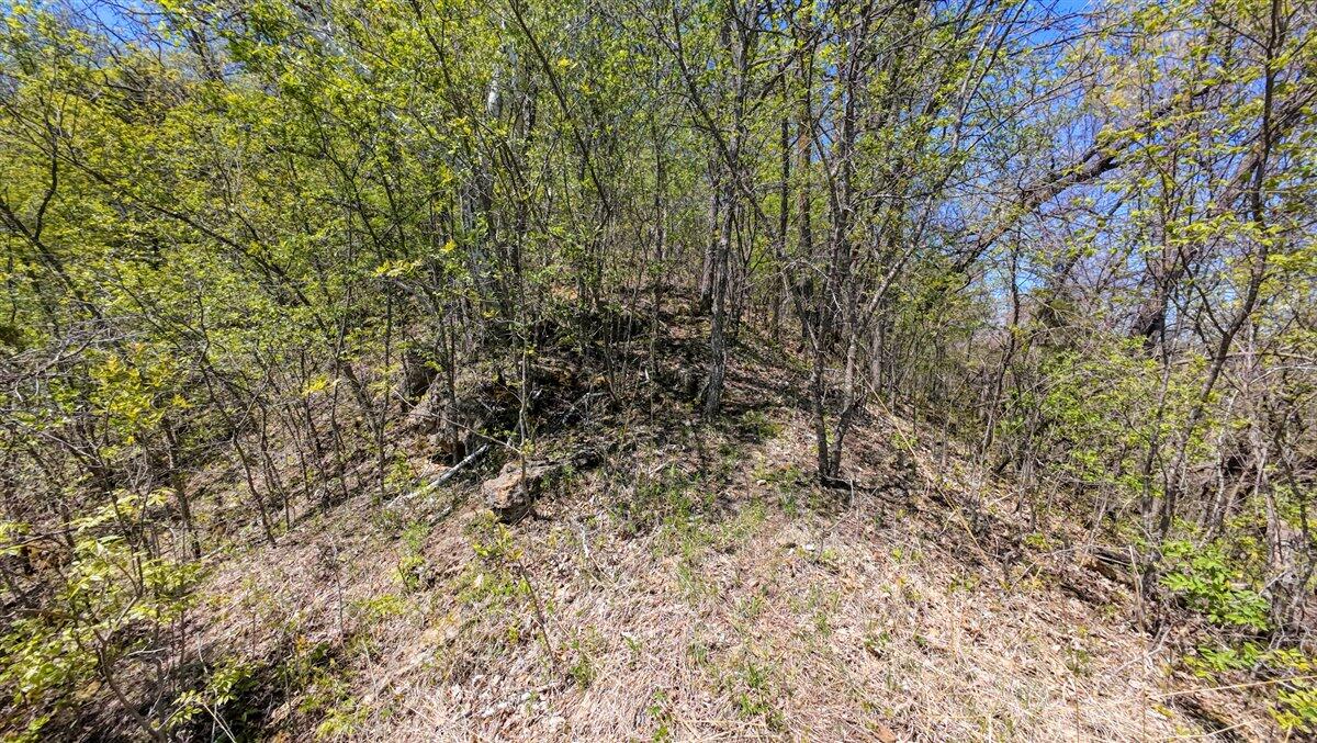 0 State Highway Readstown, WI 54652 - Photo 102 of 119 119-DJI_20250510135513_0087_D_22