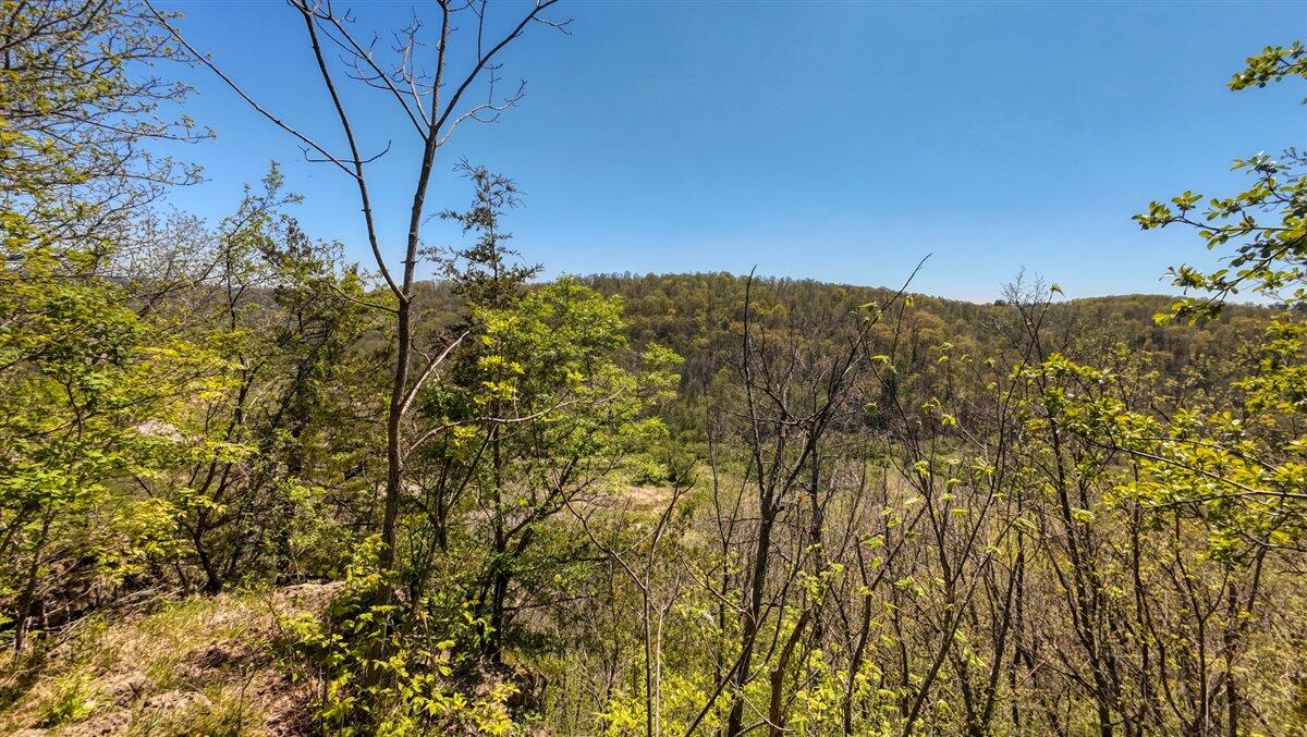 0 State Highway Readstown, WI 54652 - Photo 104 of 119 121-DJI_20250510135520_0089_D_26
