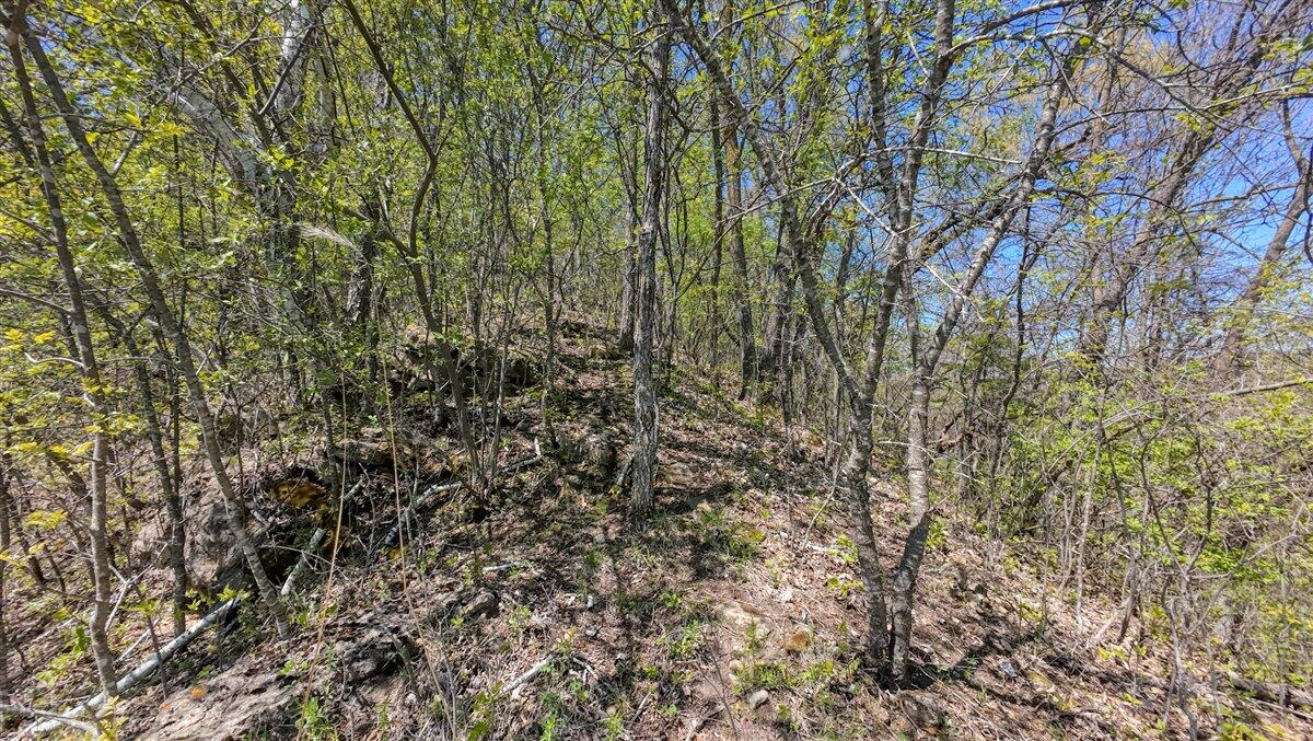 0 State Highway Readstown, WI 54652 - Photo 105 of 119 122-DJI_20250510135532_0090_D_25