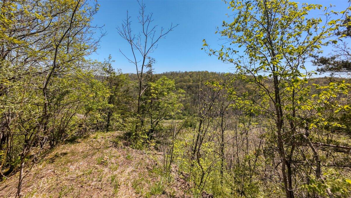 0 State Highway Readstown, WI 54652 - Photo 106 of 119 123-DJI_20250510135539_0091_D_24