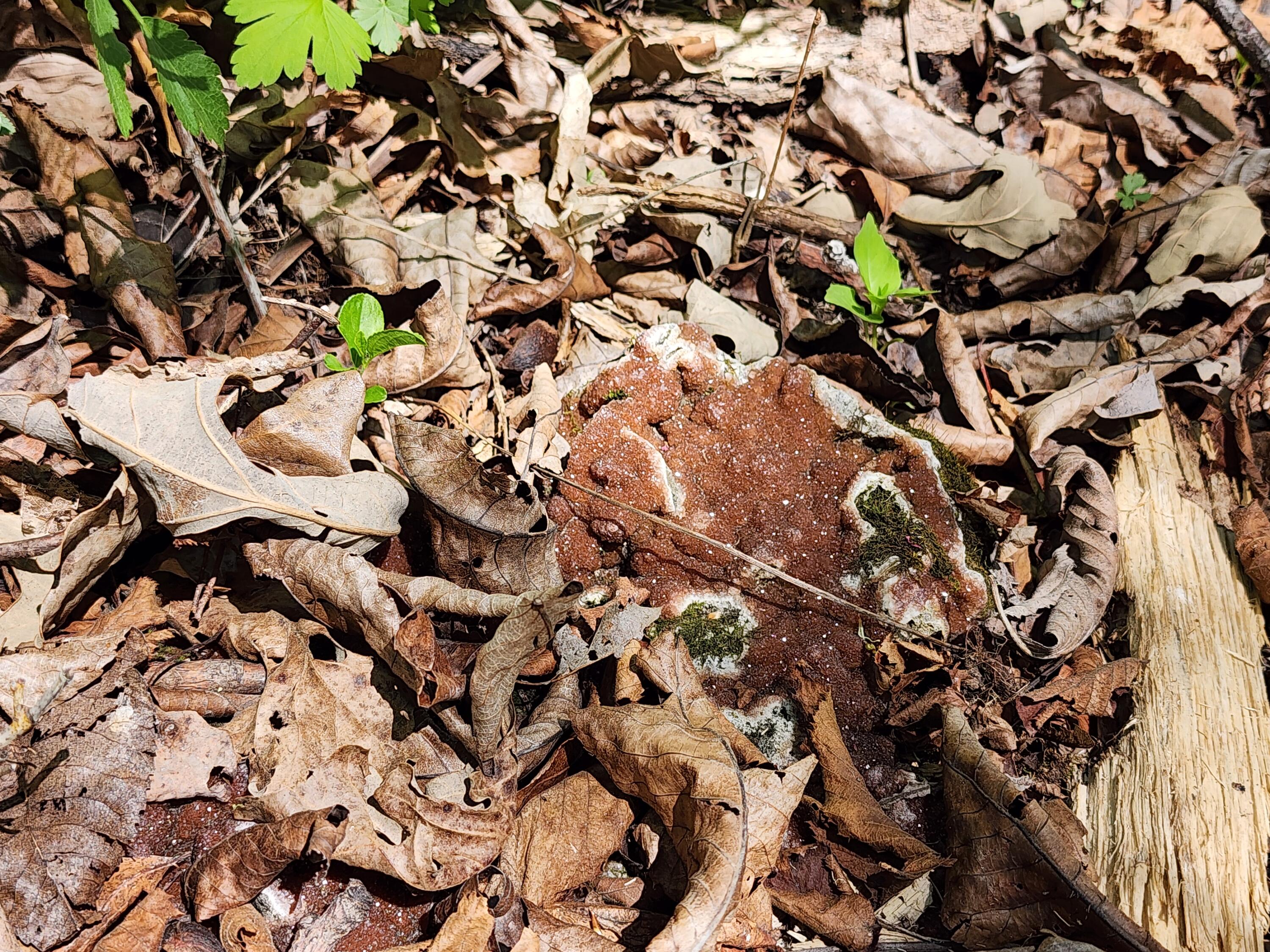 0 State Highway Readstown, WI 54652 - Photo 110 of 119 1000022366