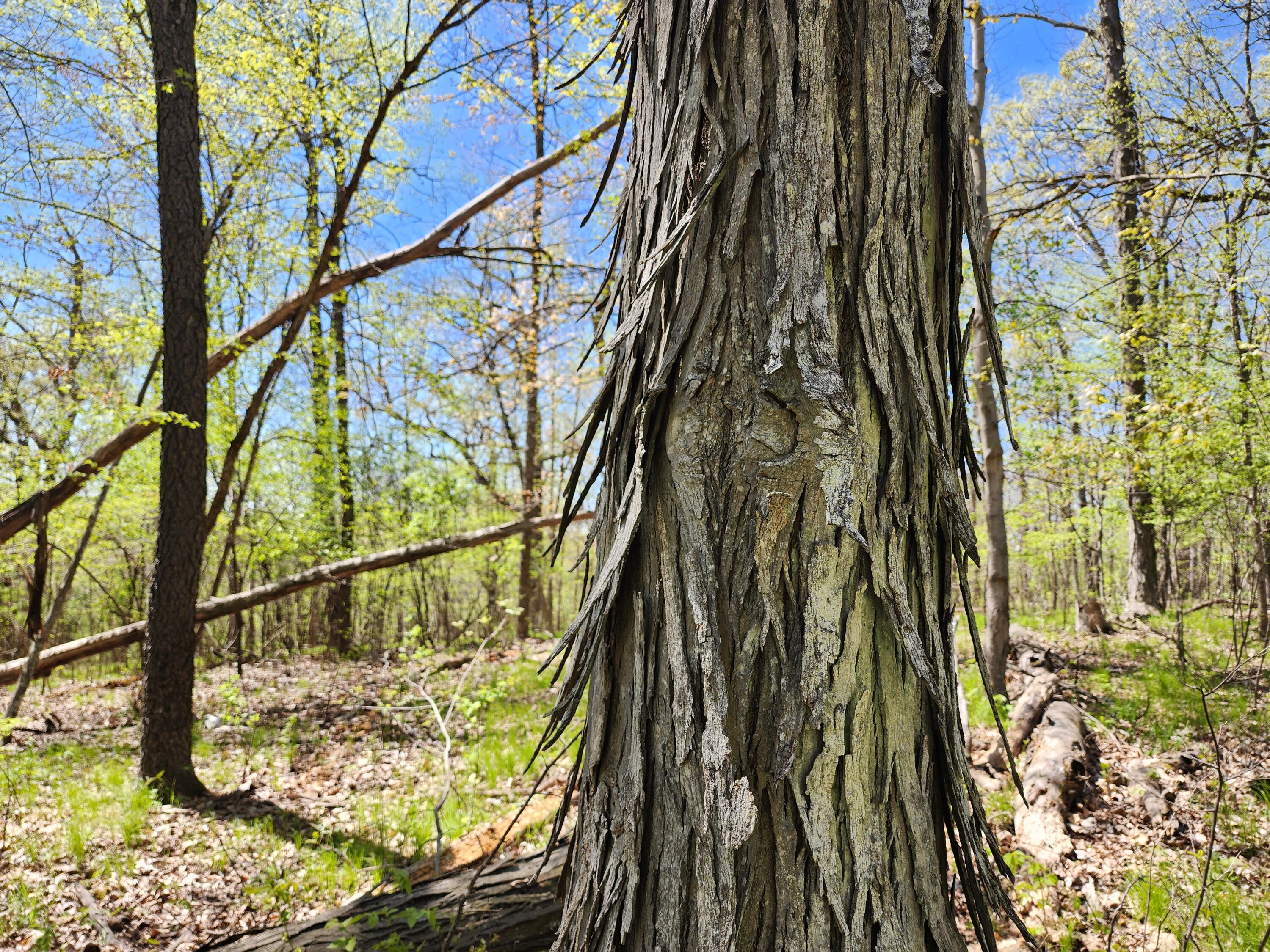 0 State Highway Readstown, WI 54652 - Photo 111 of 119 1000022363