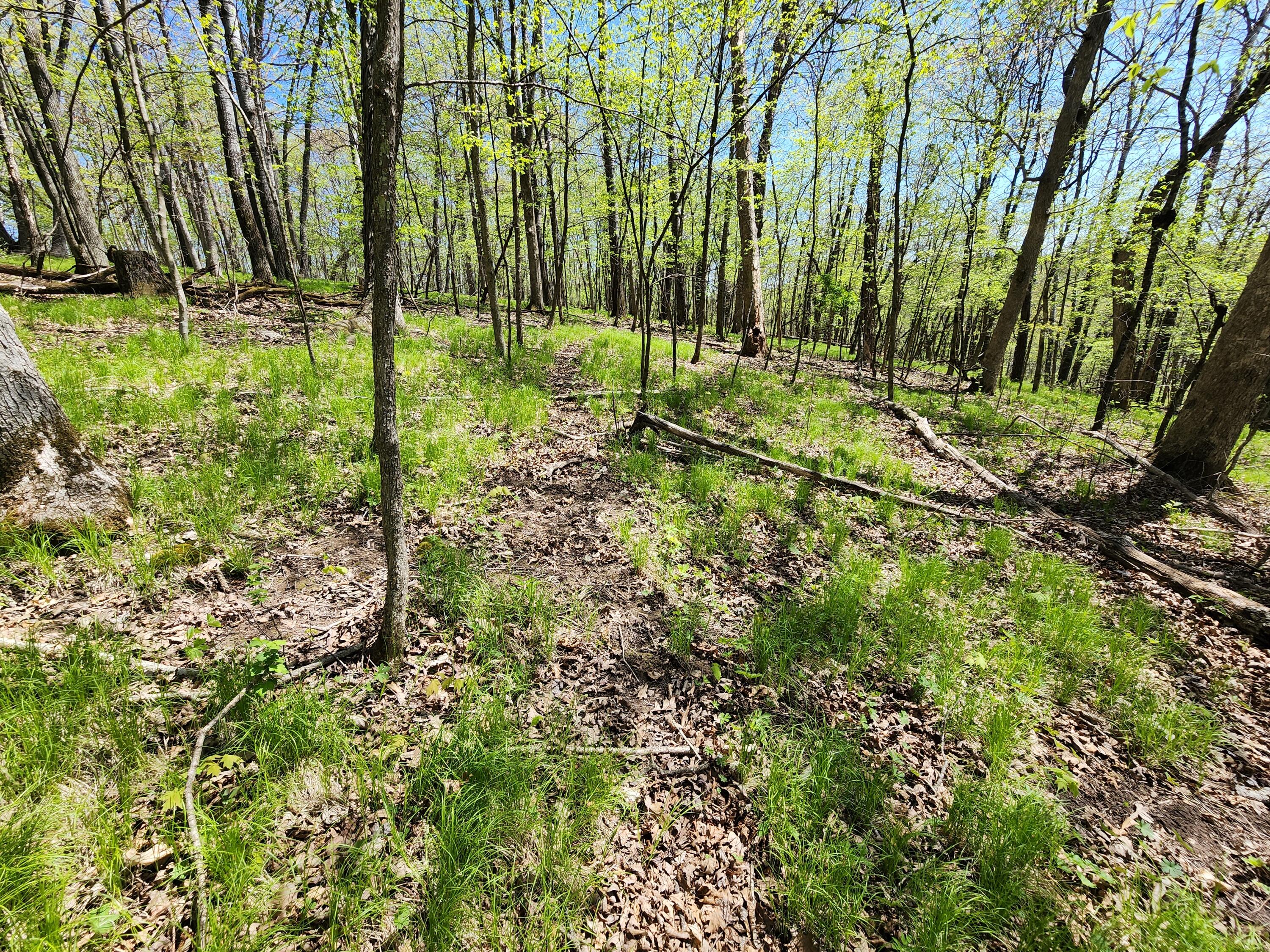 0 State Highway Readstown, WI 54652 - Photo 113 of 119 1000022361