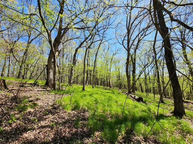 $329,900 | 0 State Highway, Readstown, WI 54652