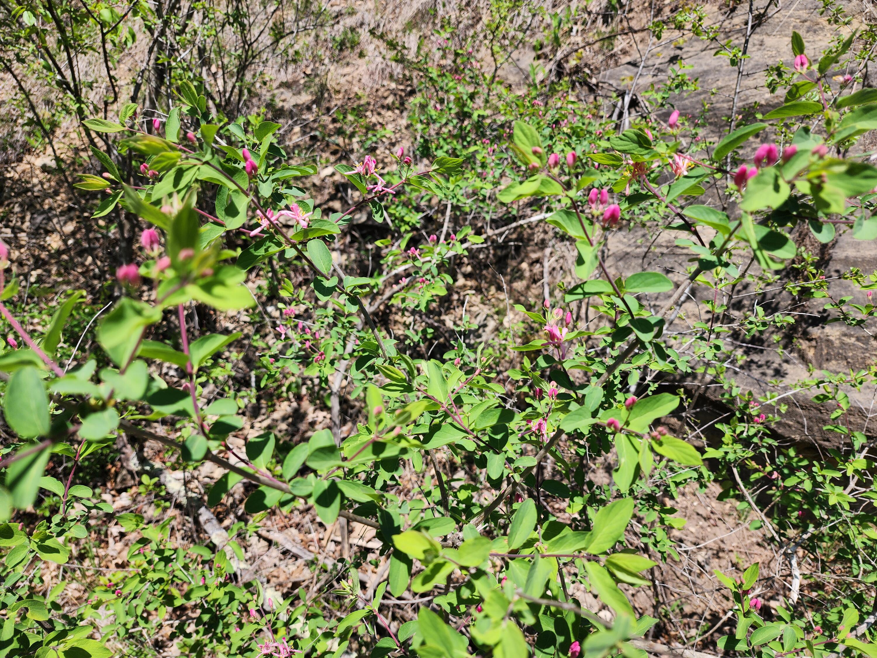 0 State Highway Readstown, WI 54652 - Photo 116 of 119 1000022358