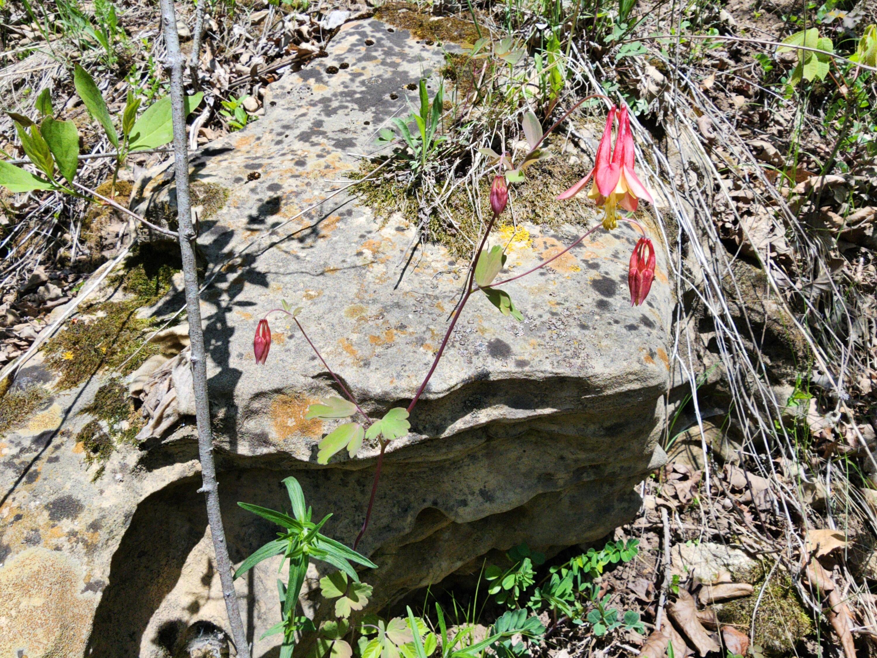 0 State Highway Readstown, WI 54652 - Photo 119 of 119 1000022355