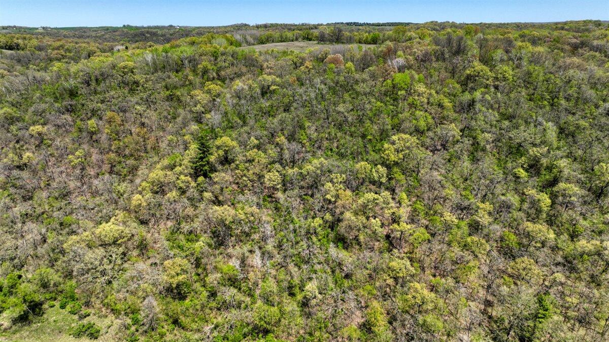 0 State Highway Readstown, WI 54652 - Photo 15 of 119 008-DJI_0595_33