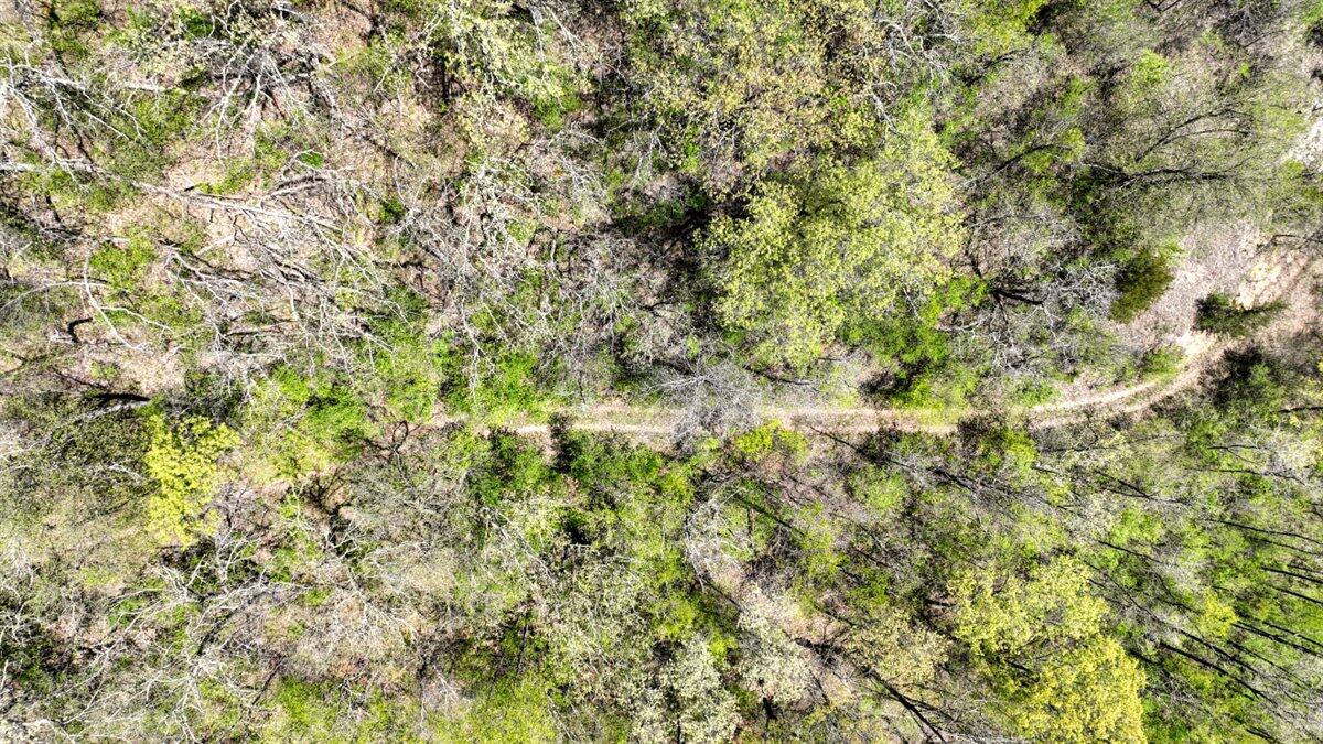 0 State Highway Readstown, WI 54652 - Photo 19 of 119 012-DJI_0617_37