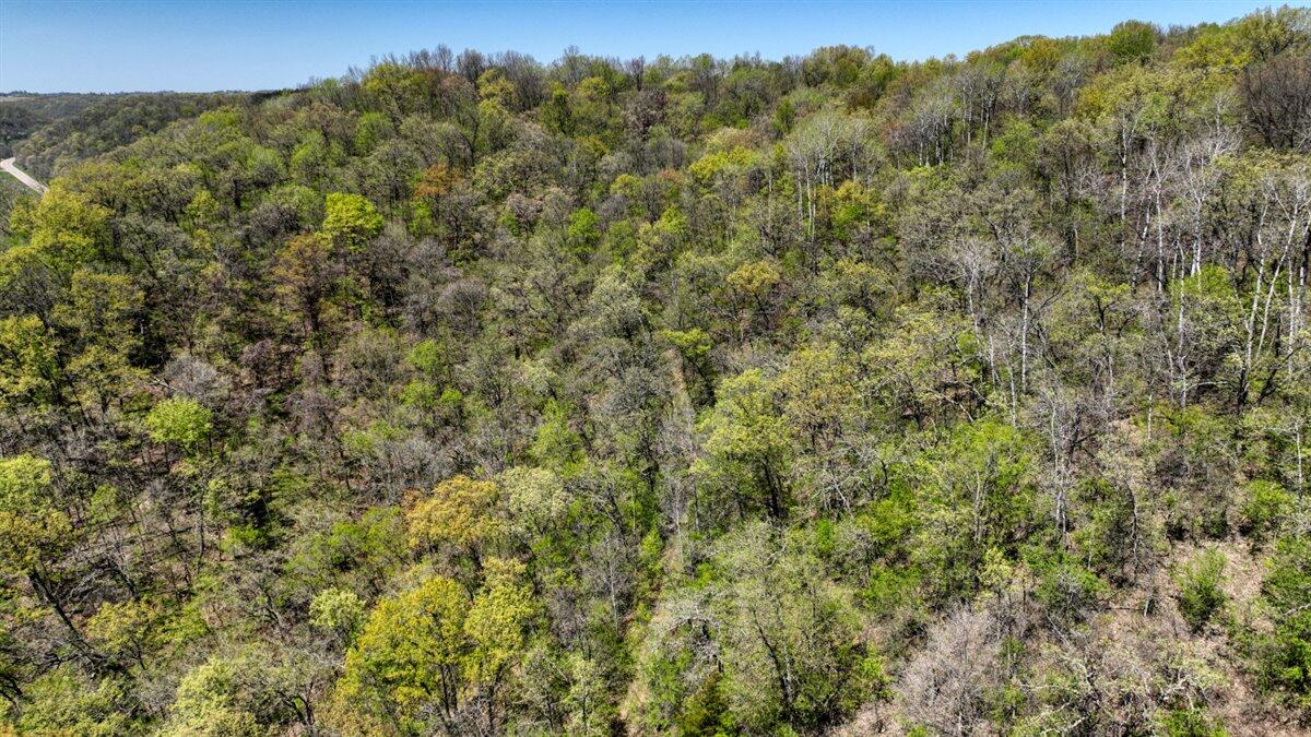 0 State Highway Readstown, WI 54652 - Photo 20 of 119 014-DJI_0628_39