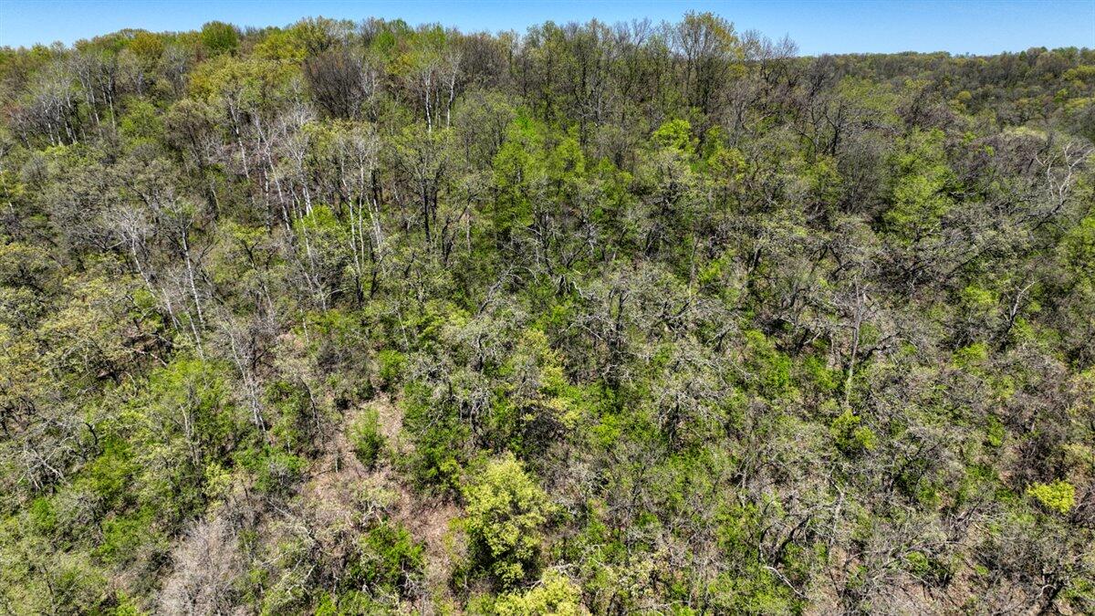 0 State Highway Readstown, WI 54652 - Photo 22 of 119 016-DJI_0638_41