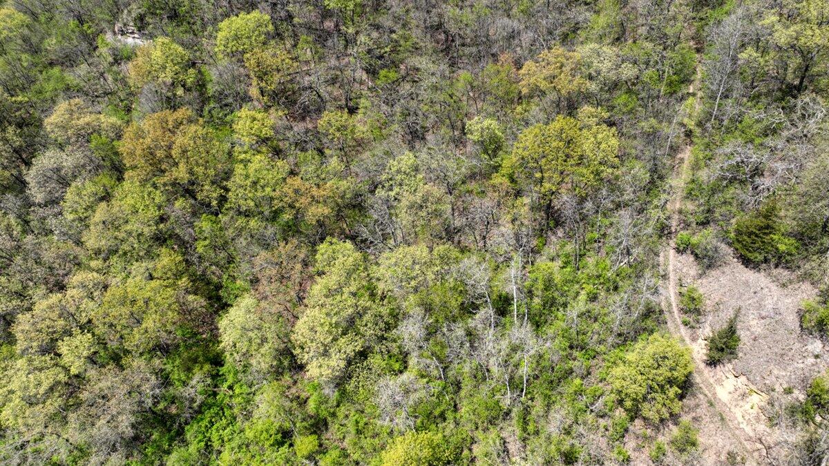 0 State Highway Readstown, WI 54652 - Photo 25 of 119 019-DJI_0652_44