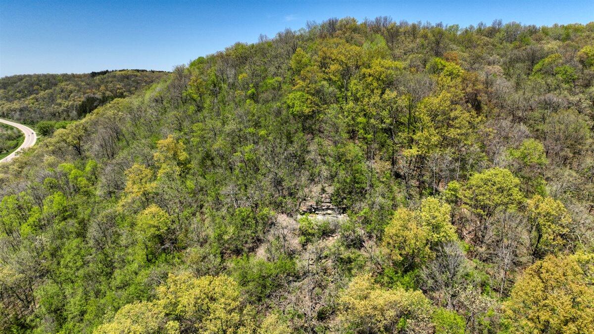0 State Highway Readstown, WI 54652 - Photo 27 of 119 022-DJI_0672_47